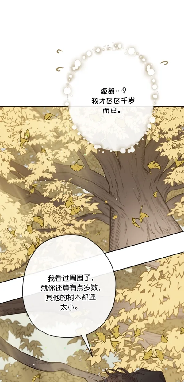 第6话 第39页