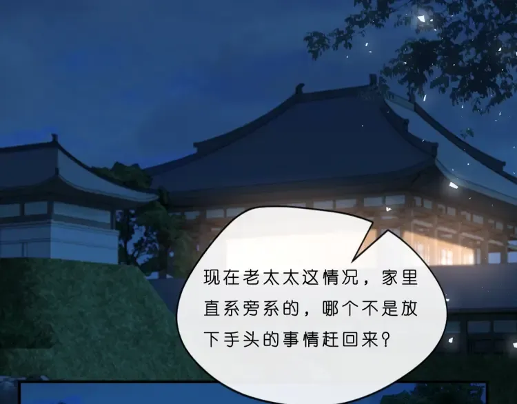 第5 各怀鬼胎的陆家人 第21页