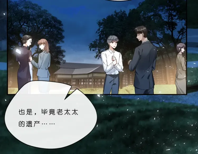 第5 各怀鬼胎的陆家人 第22页