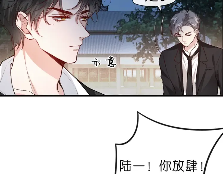 第5 各怀鬼胎的陆家人 第37页