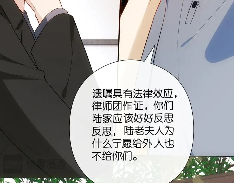 第143话 陆家是你背后的依靠 第84页