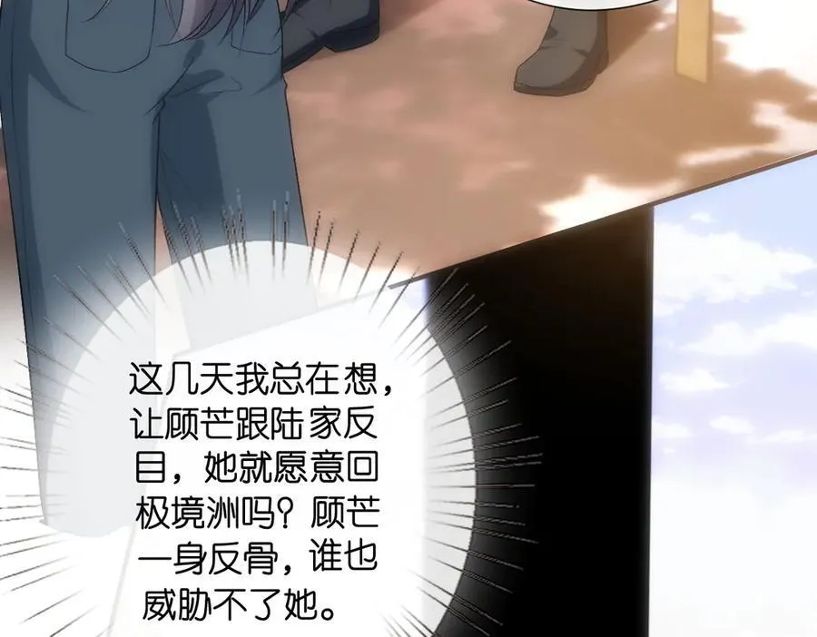 第143话 陆家是你背后的依靠 第98页