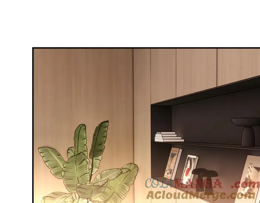 第182话 顾芒担任理事 第55页