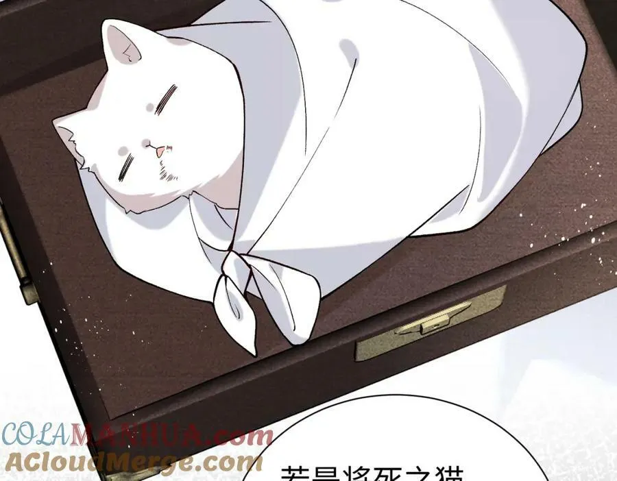 第22话 走狗真是可笑又可悲 第67页