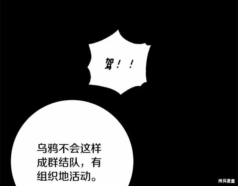 第34话 第213页