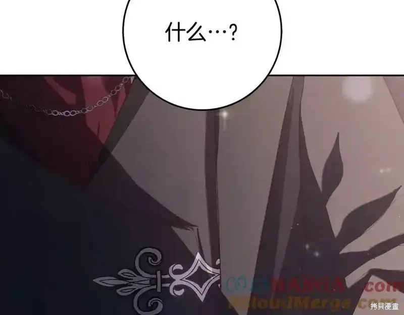 第73话季2完 第209页
