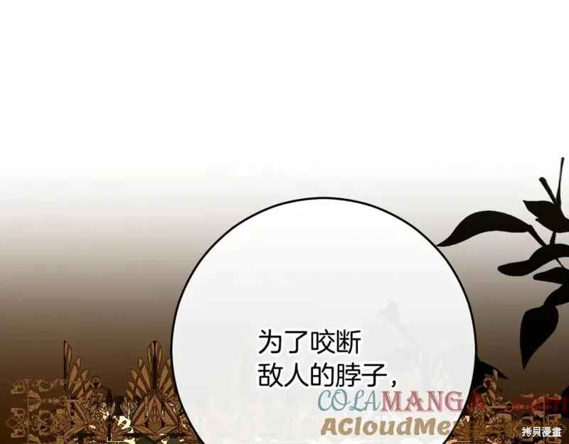第82话 第193页