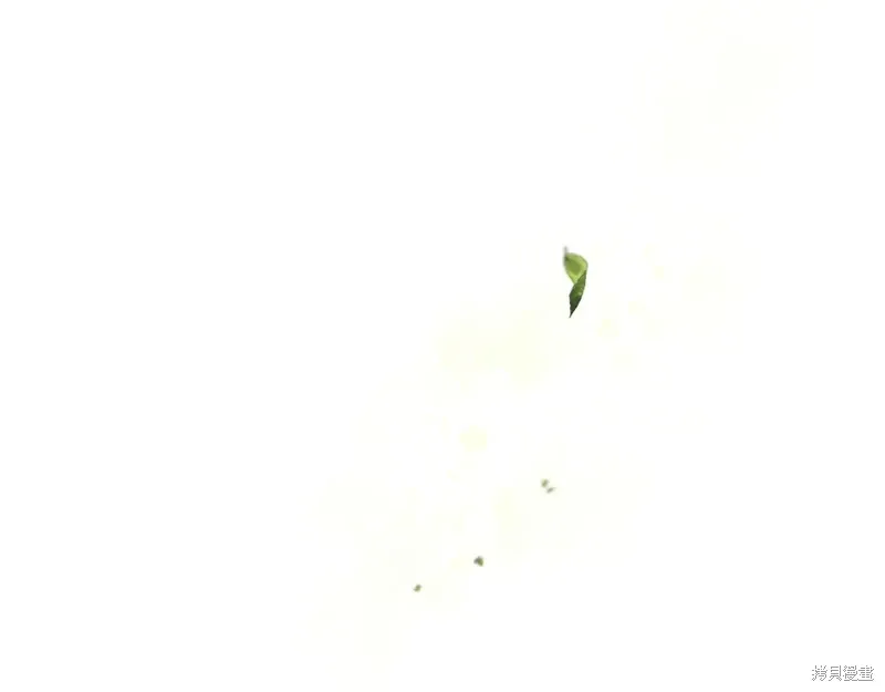 完结篇 第110页