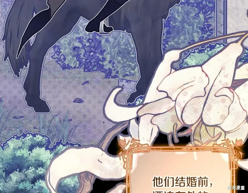 完结篇 第240页