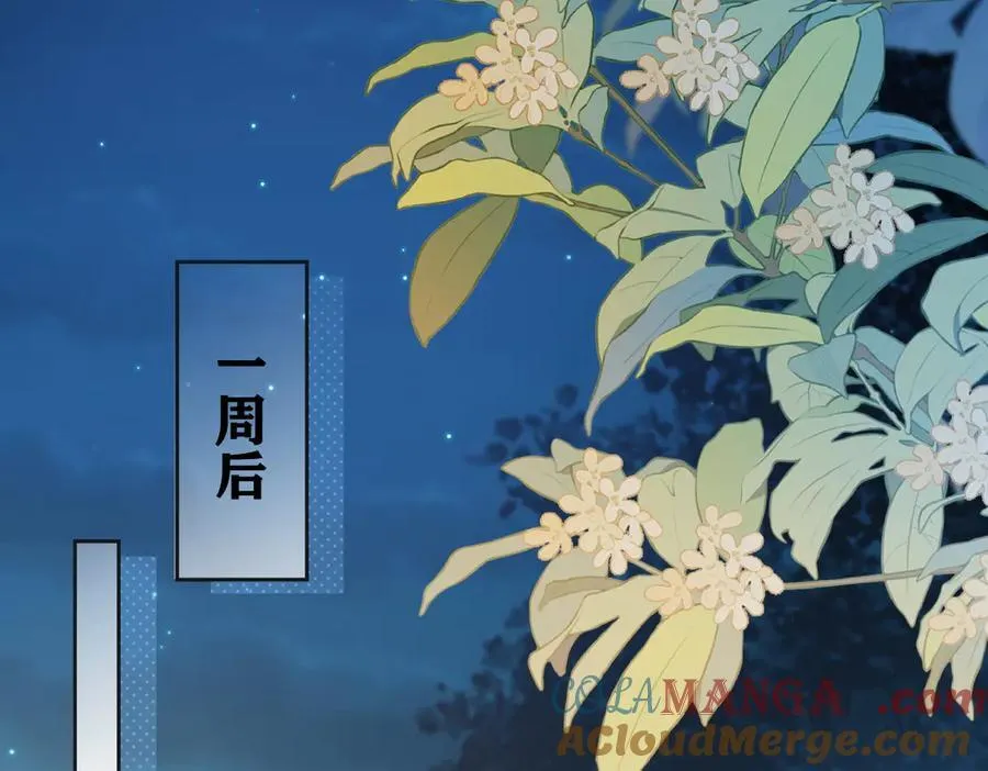 第76话 似曾相识的气息 第43页
