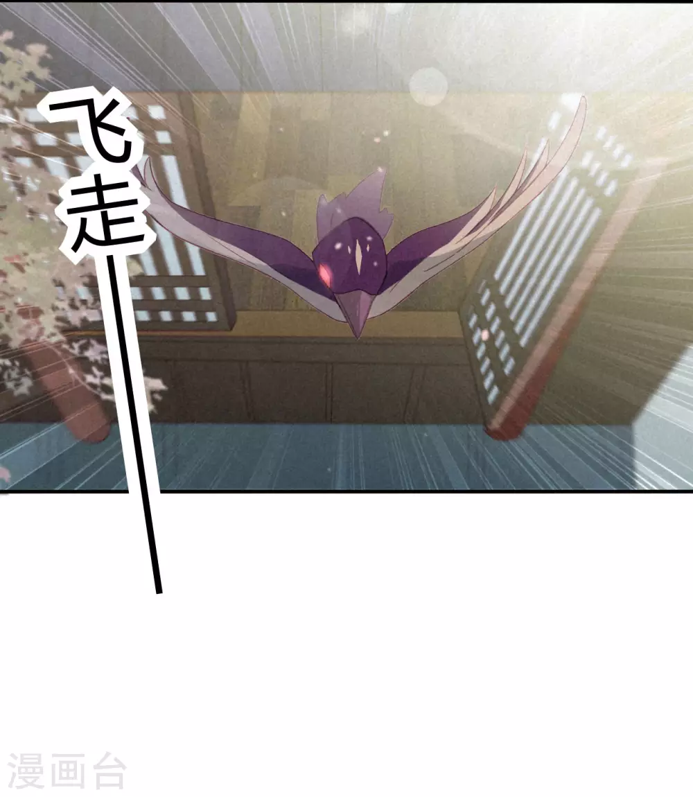 第21话 琉璃泪：巨变前夕（二） 第48页