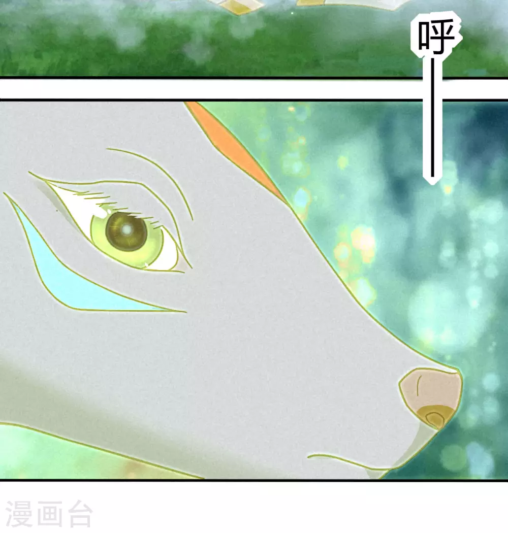 第14话 琉璃泪：夜会情郎？ 第21页