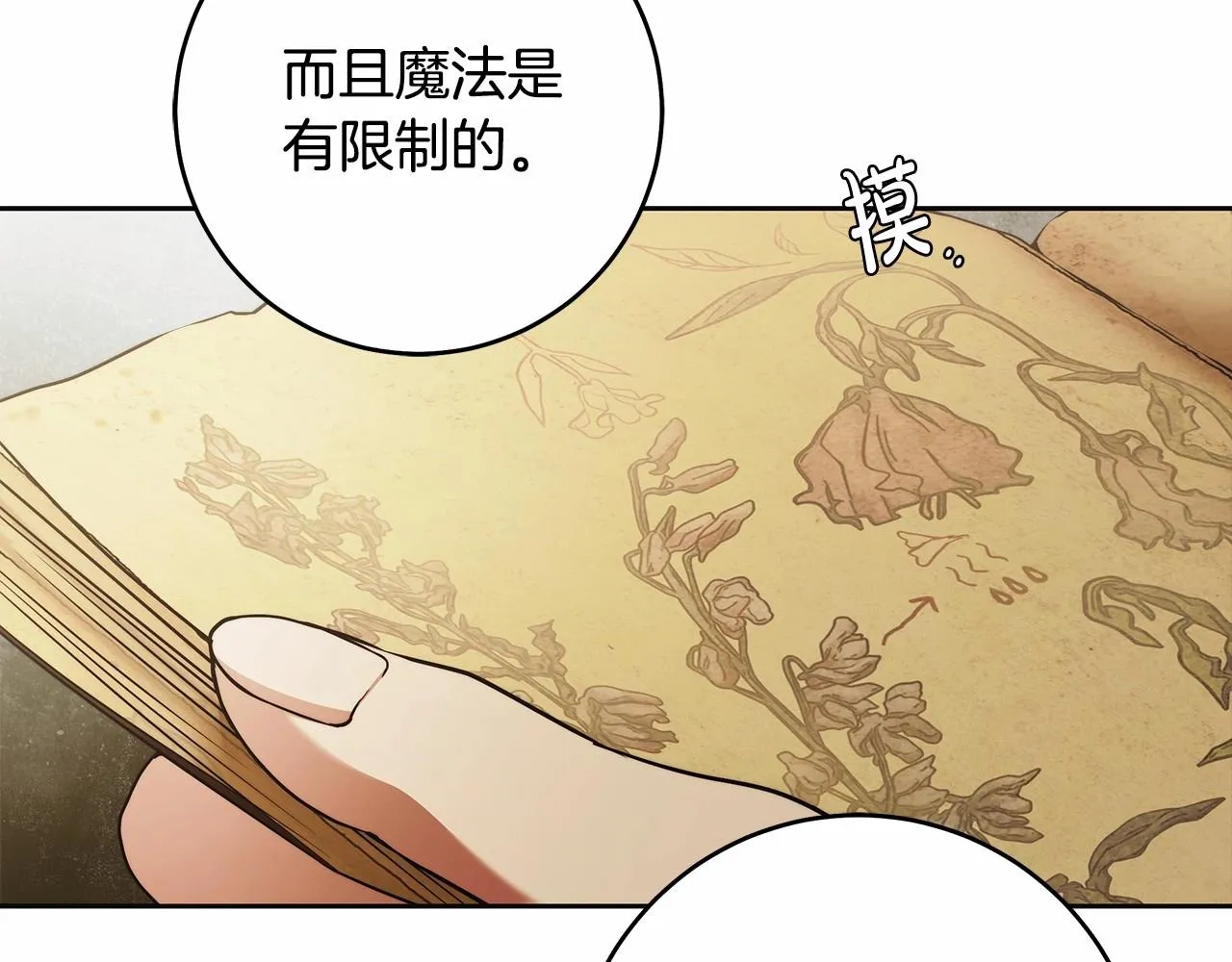 第41话 成为魔女的条件 第36页