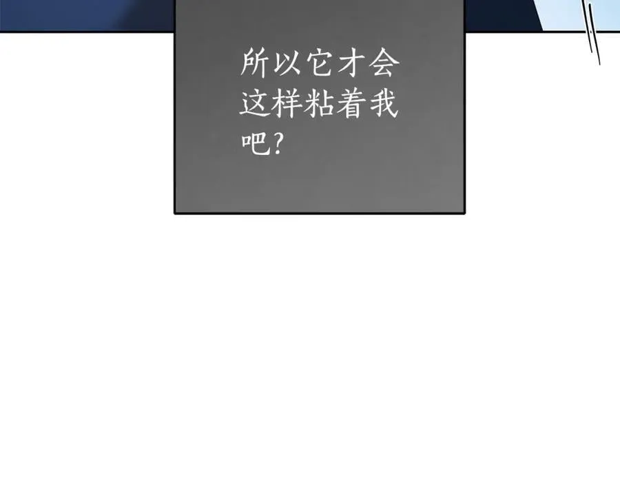 第72话 我使用了魔法？ 第15页