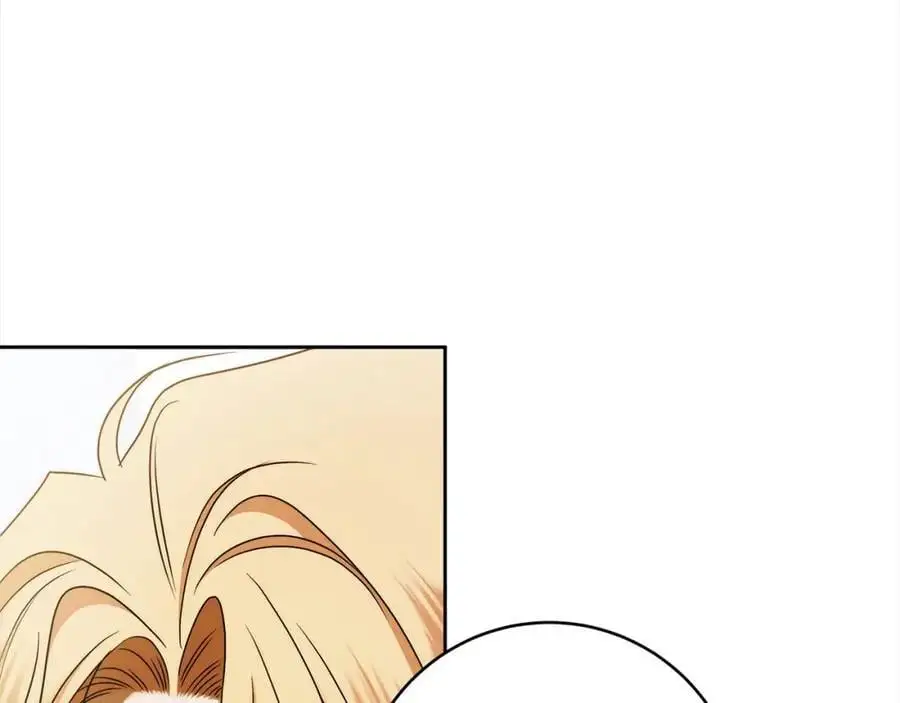 番外2 发现魔女的岛 第144页