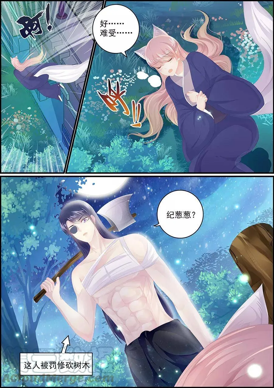 第172话 了却愚生 第3页