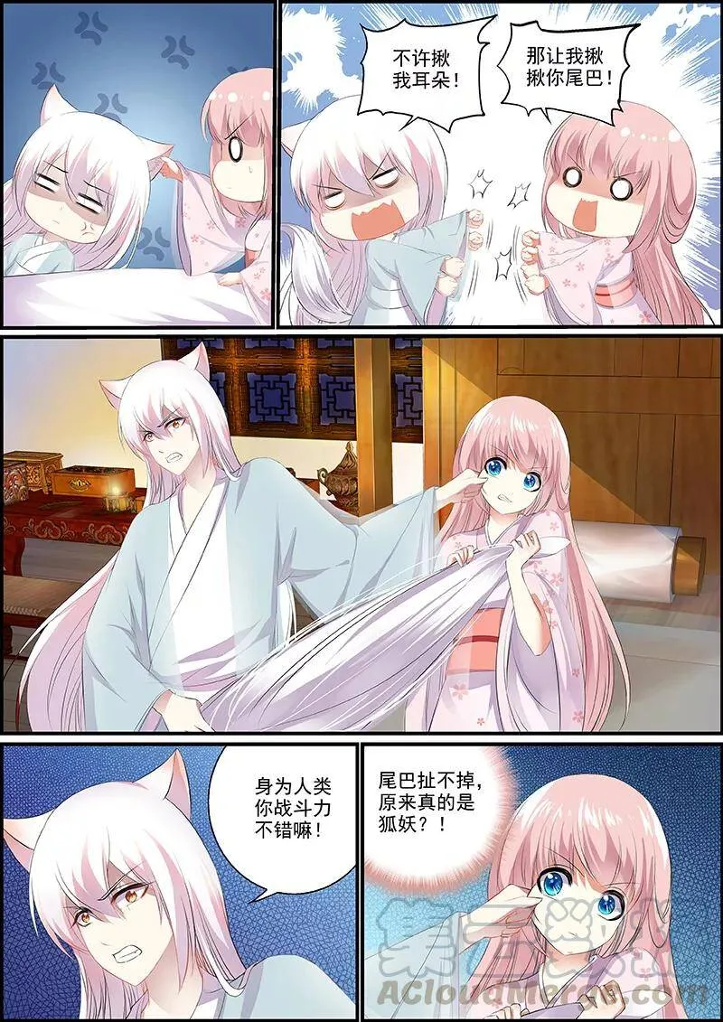 第6话 妖狐白尔 第3页