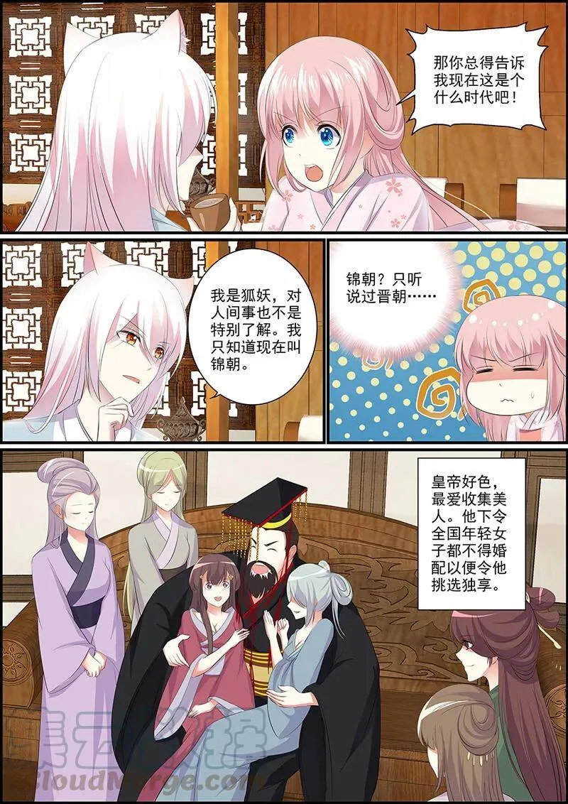 第6话 妖狐白尔 第5页