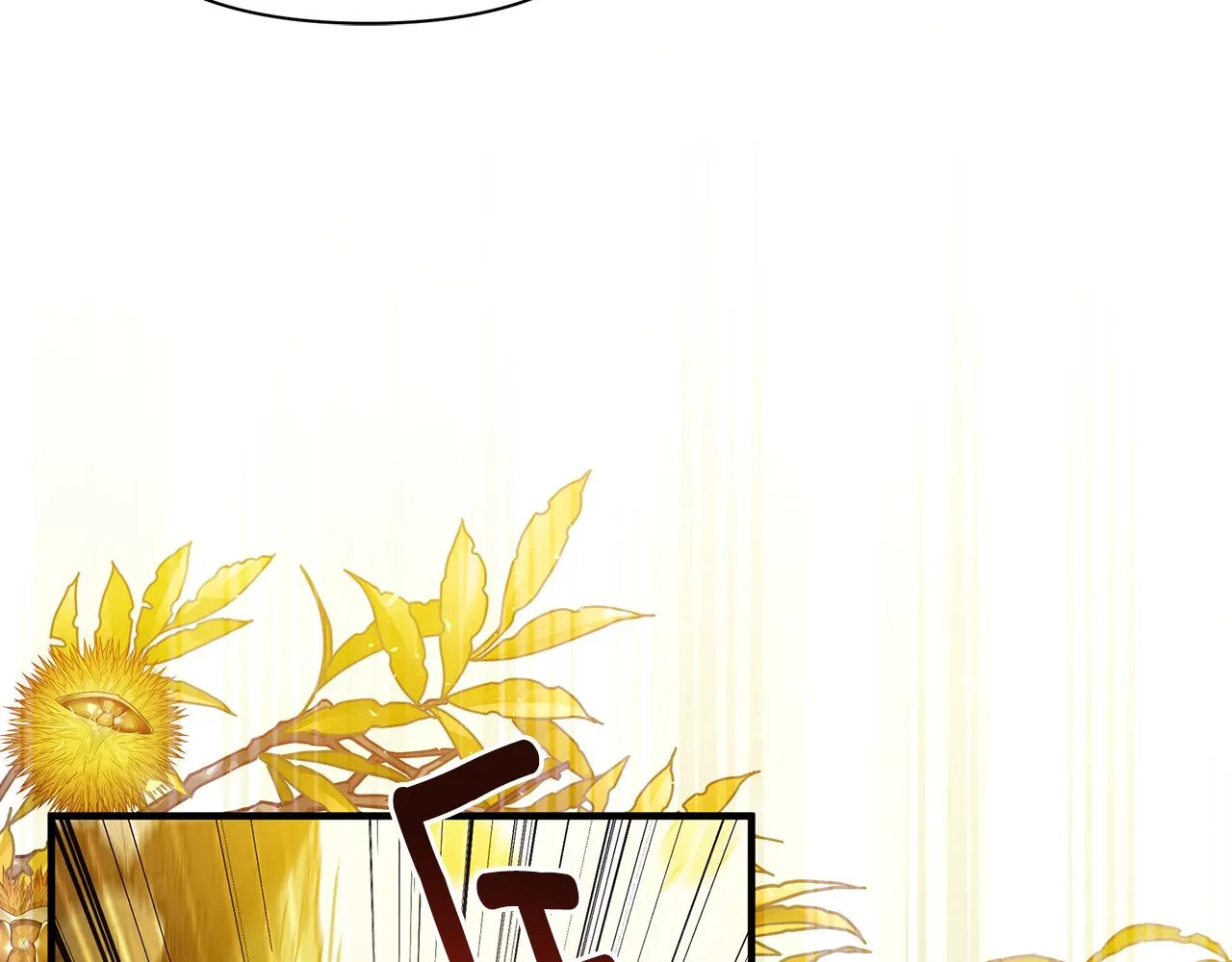 第36话 烤栗子 第127页