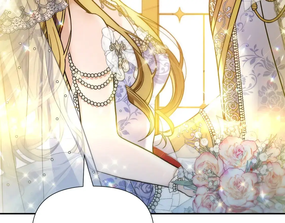 完结篇 漫长旅行后的婚礼 第232页