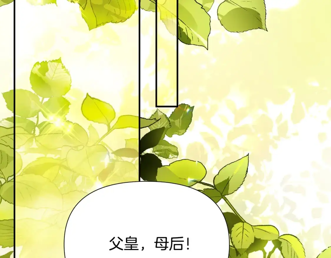 完结篇 漫长旅行后的婚礼 第247页