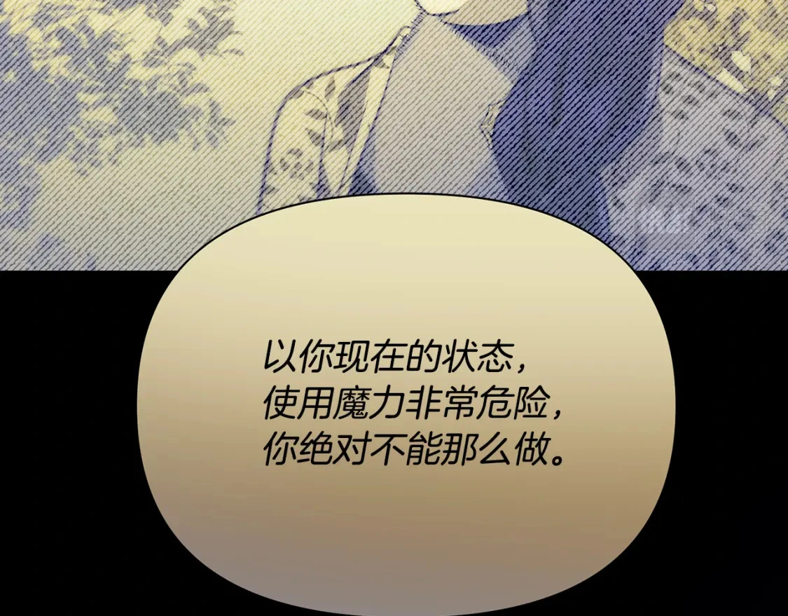 第73话 皇帝大婚 第117页