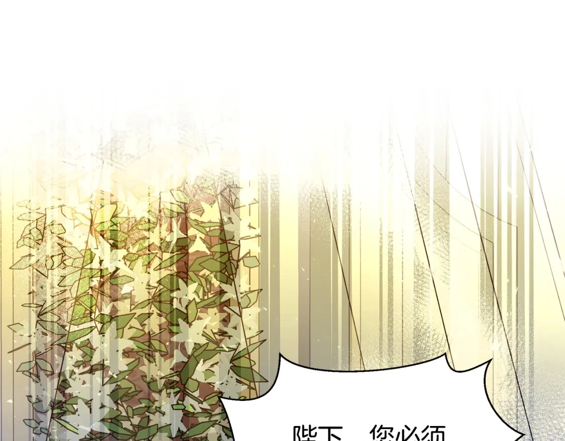 第73话 皇帝大婚 第162页