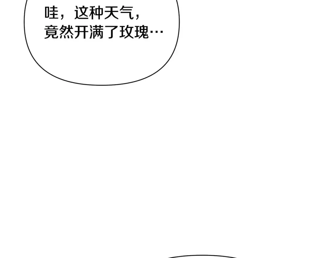 第41话 夫妻专用 第5页