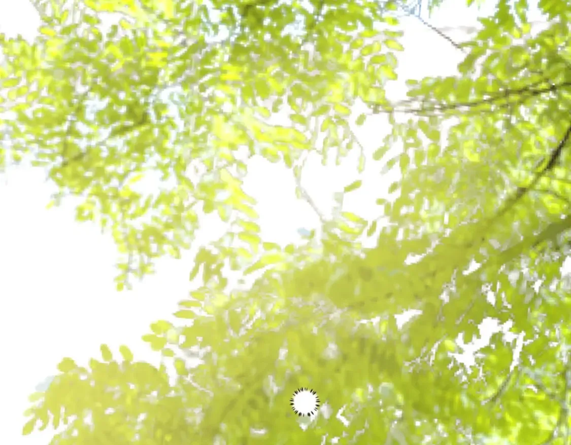 第八话 钻丽之星 第132页
