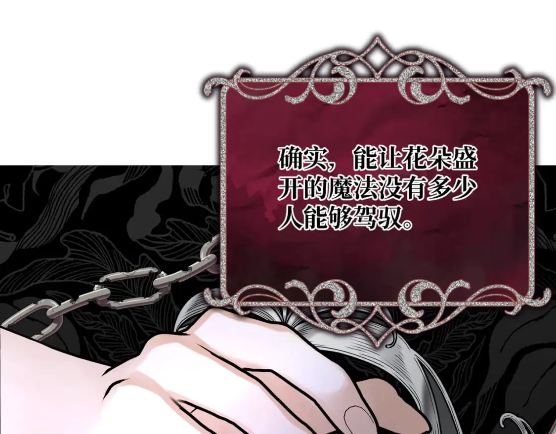 第21话 魔法使花朵盛开 第135页