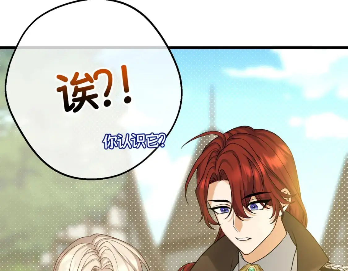 第26话 猫头鹰怪奇铺 第4页