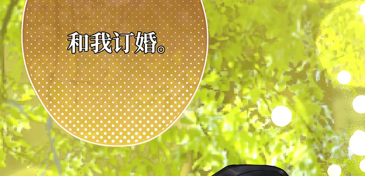 第40话 和我订婚 第28页