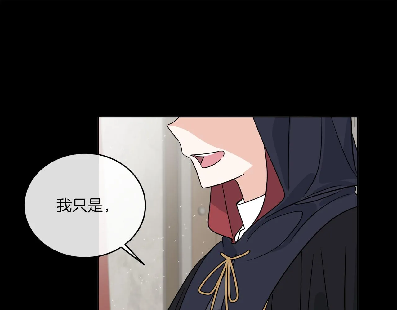 第28话 神秘人 第29页