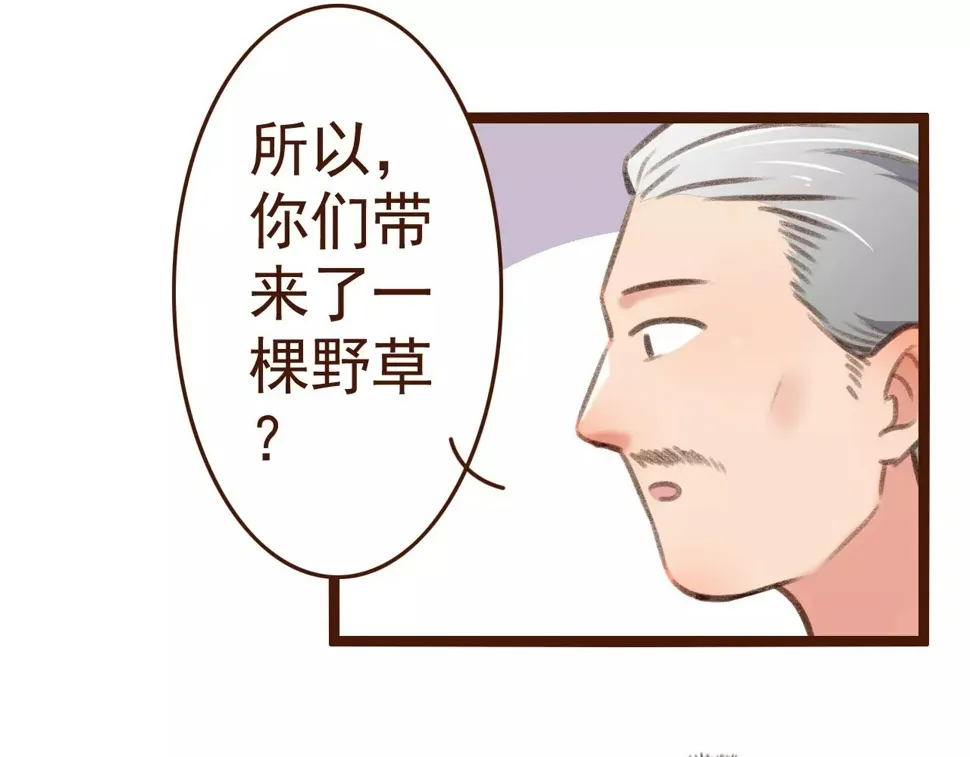 第27话 以“貌”服人 第48页