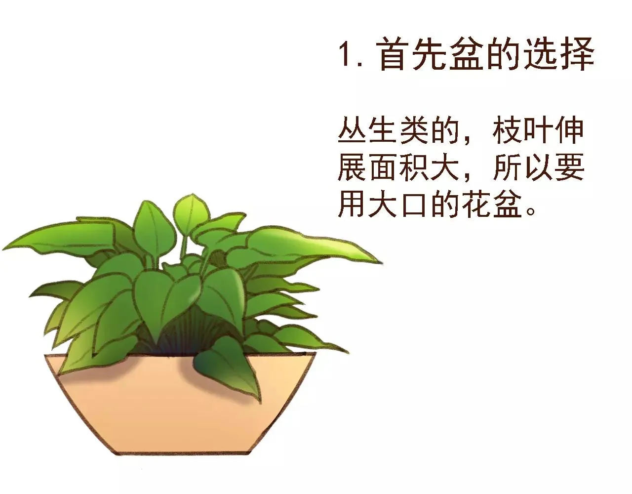 第19话 好朋友？ 第42页