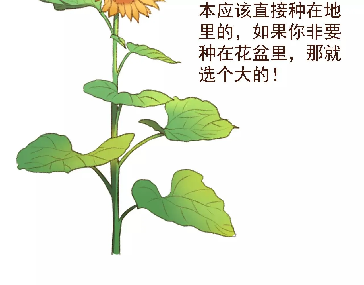 第19话 好朋友？ 第44页