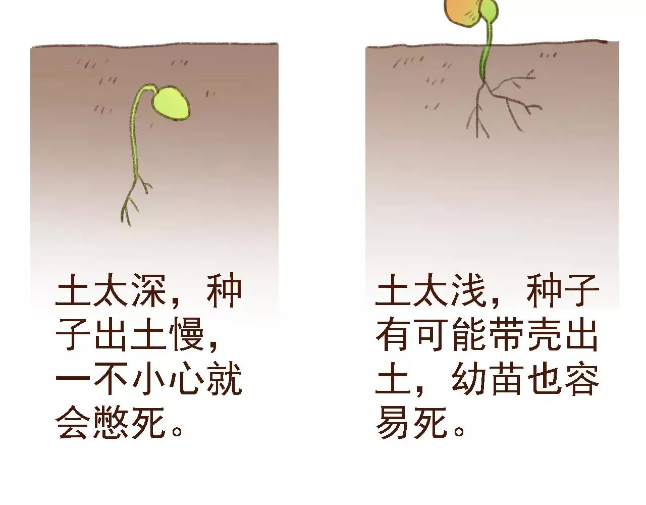 第19话 好朋友？ 第51页