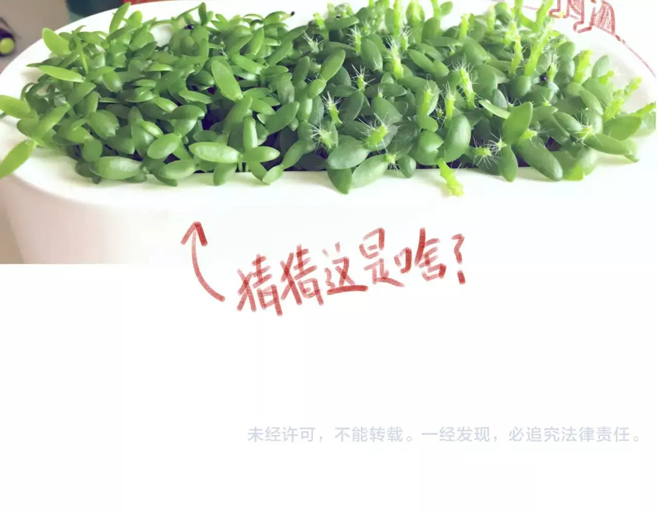 第10话 管理人要看什么书 第68页