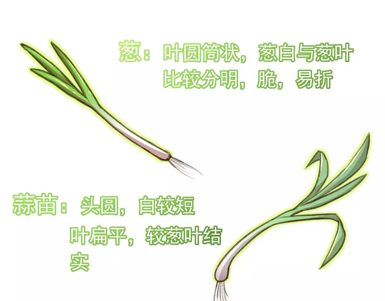 第7话 葱？蒜？ 第30页