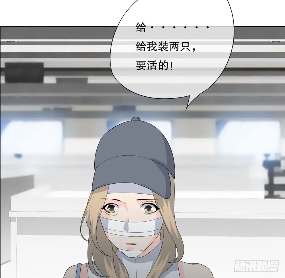 第五季：血 第55页