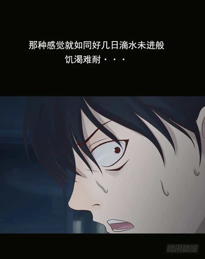 第一季：觅食 第3页