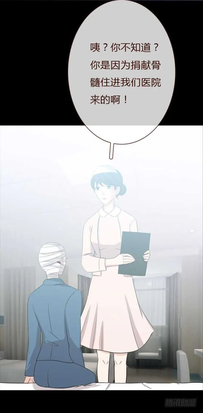 第三季：整容 第37页