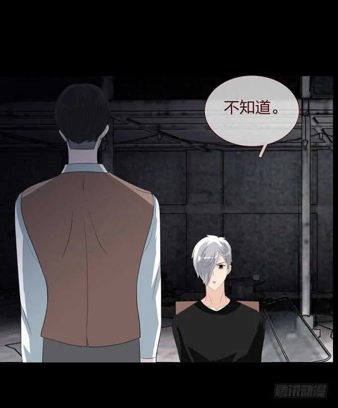 第四季：组织 第4页