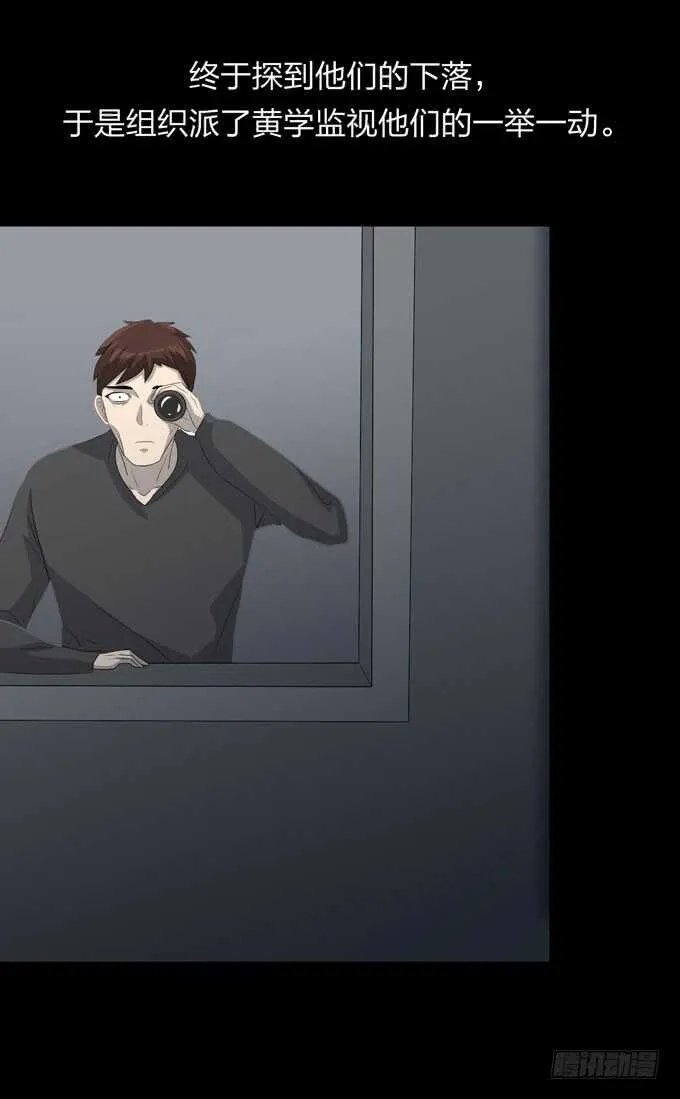 第四季：组织 第13页