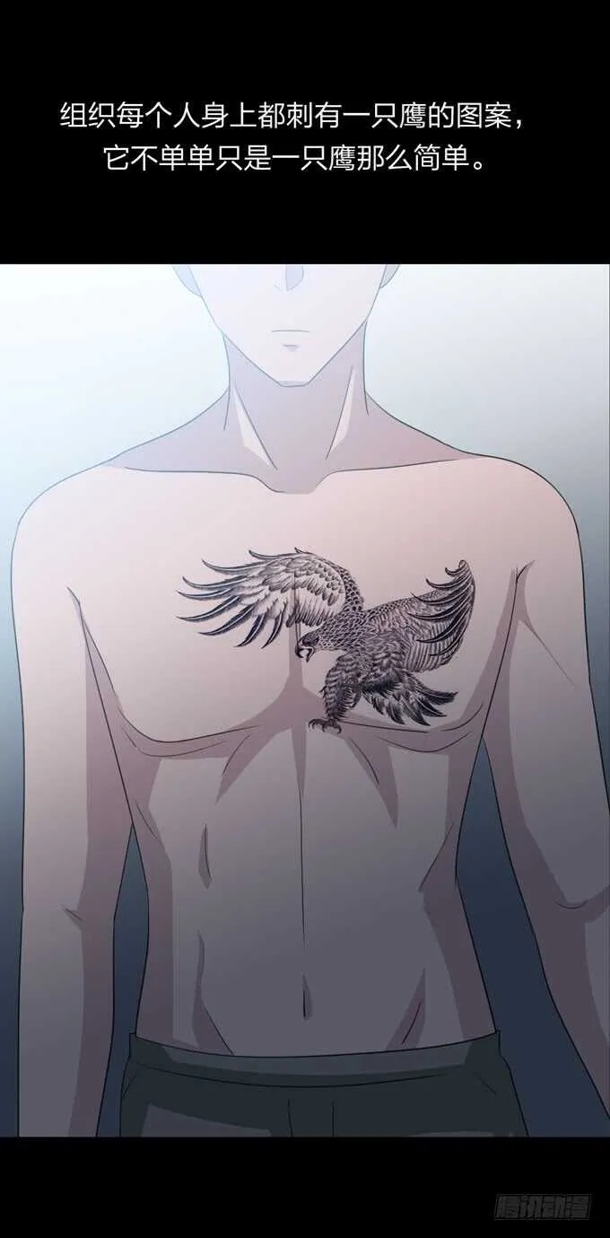 第四季：组织 第18页