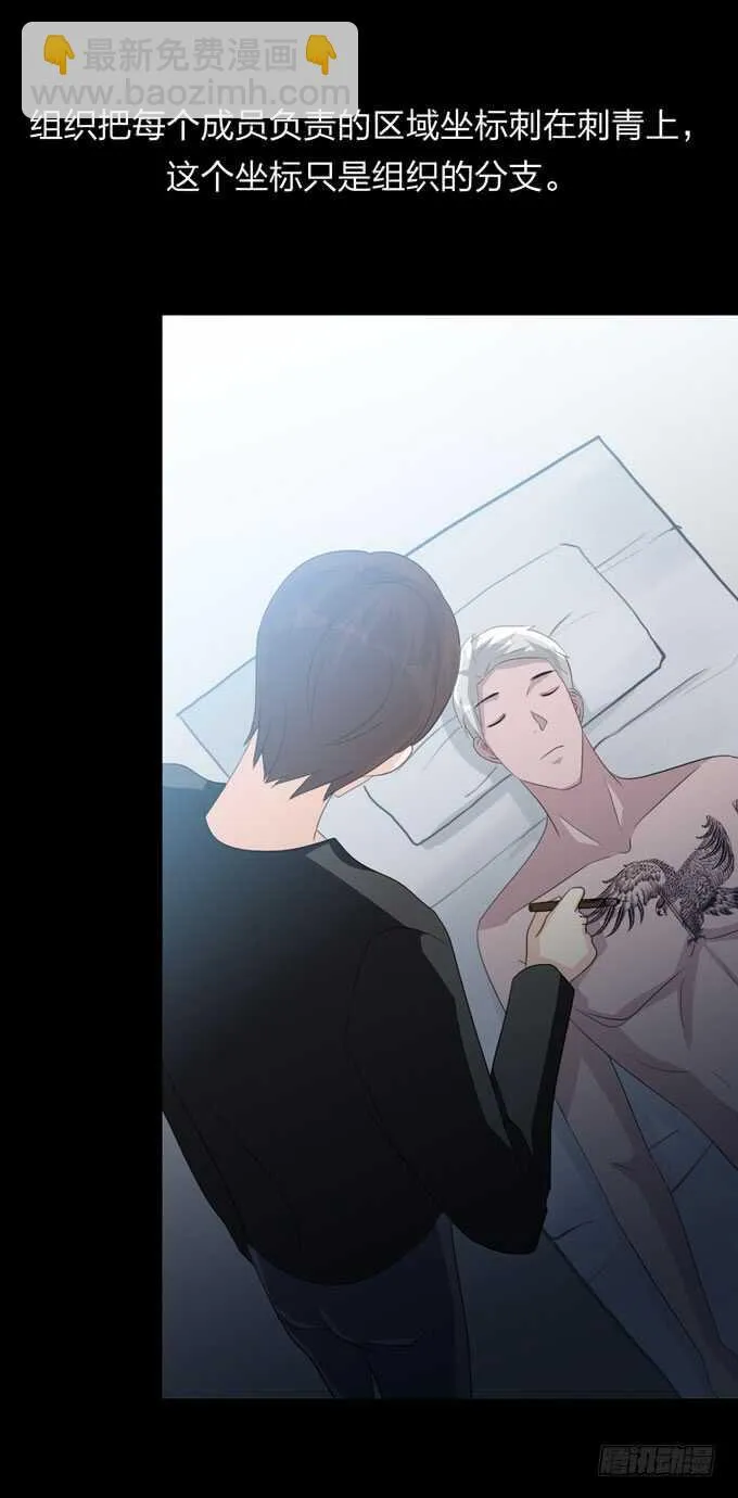 第四季：组织 第19页