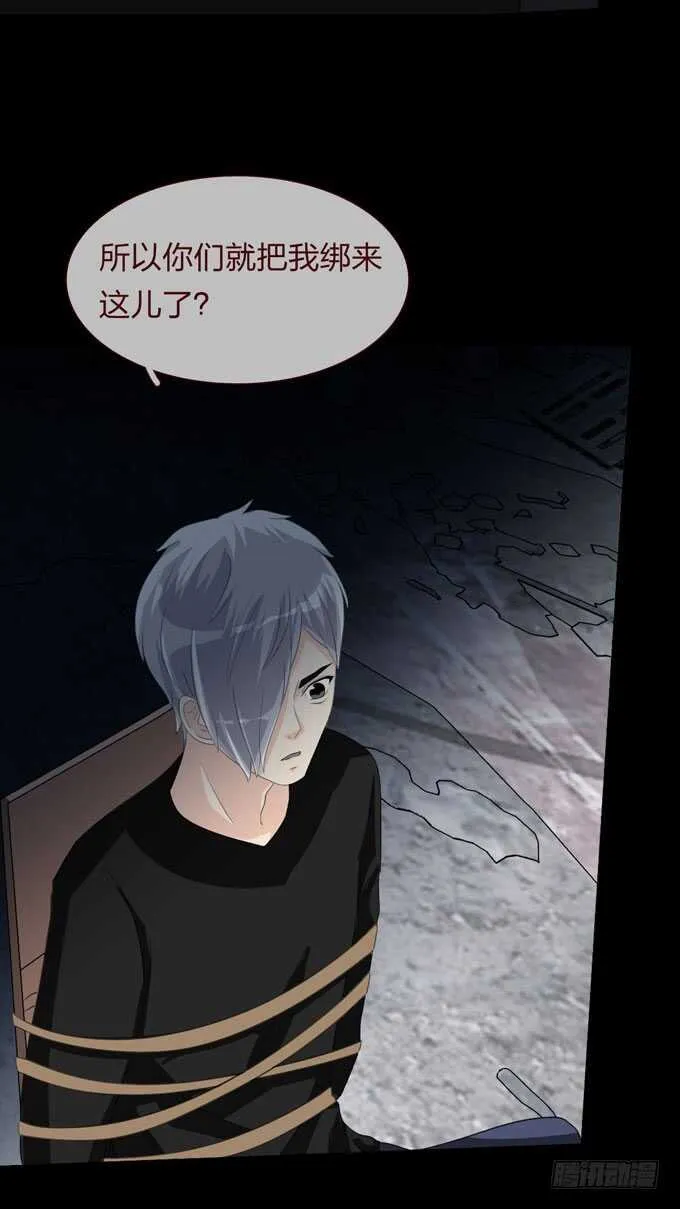第四季：组织 第25页