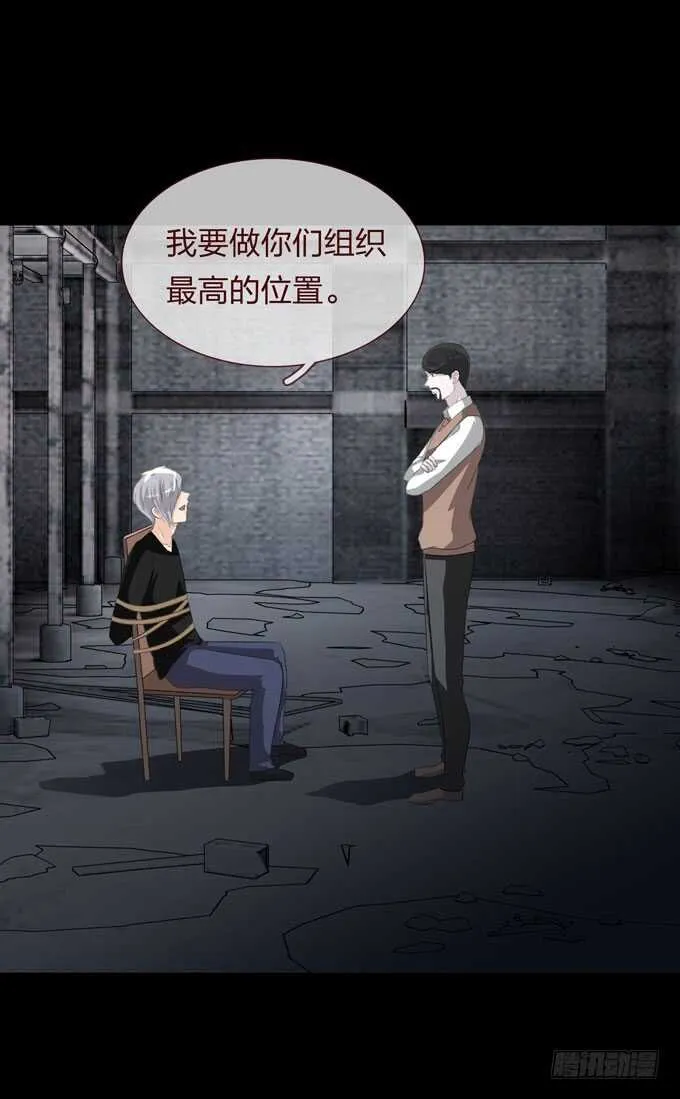 第四季：组织 第29页