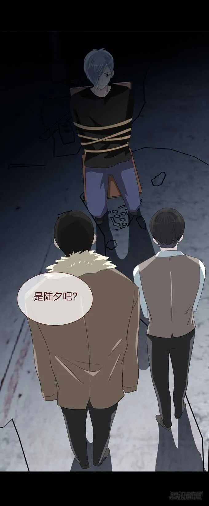 第四季：组织 第37页