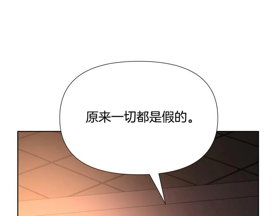 第27话 一切都是假的 第243页
